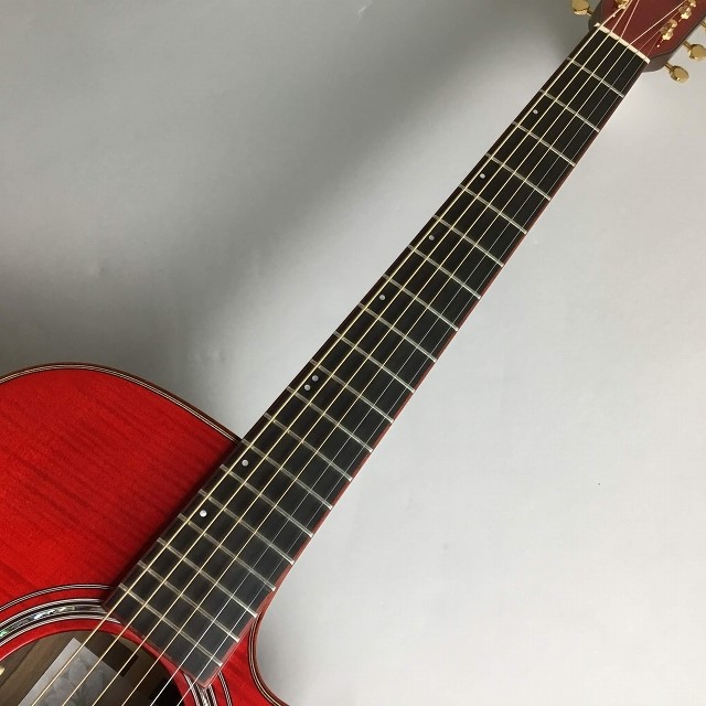 九州5本限定 エレアコ】Morris（モーリス） R-14G SK LTD STR 入荷