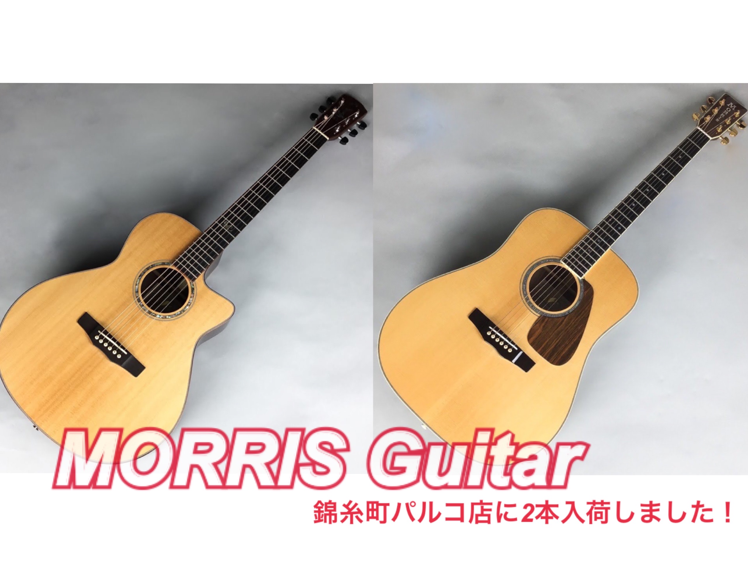 日本製ギター MORRIS】アコースティックギター2本入荷！～ブランド解説