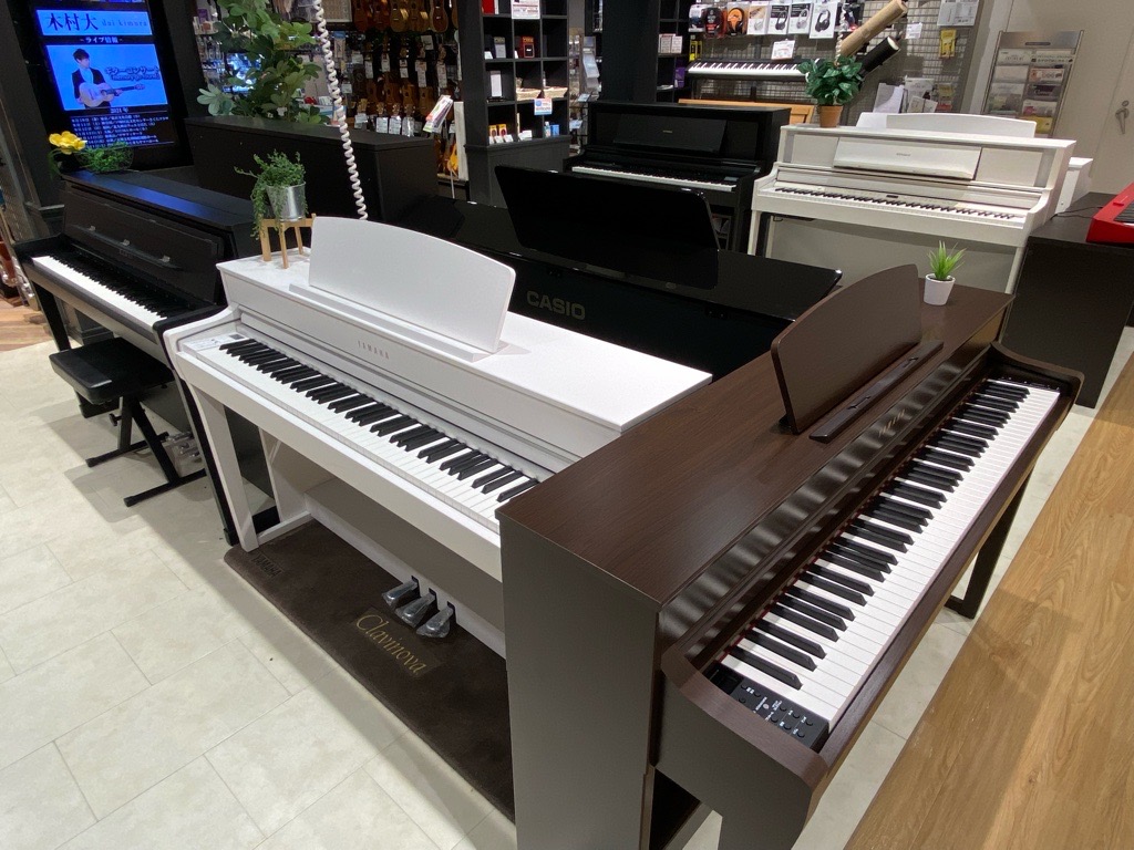 CELVIANOセルビアーノ】CASIO×C.ベヒシュタイン コラボレーション電子