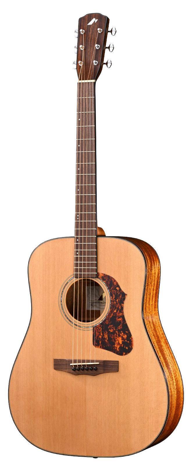 Morrisフェア開催中です！12月4日まで！｜島村楽器 イオンモール岡崎店