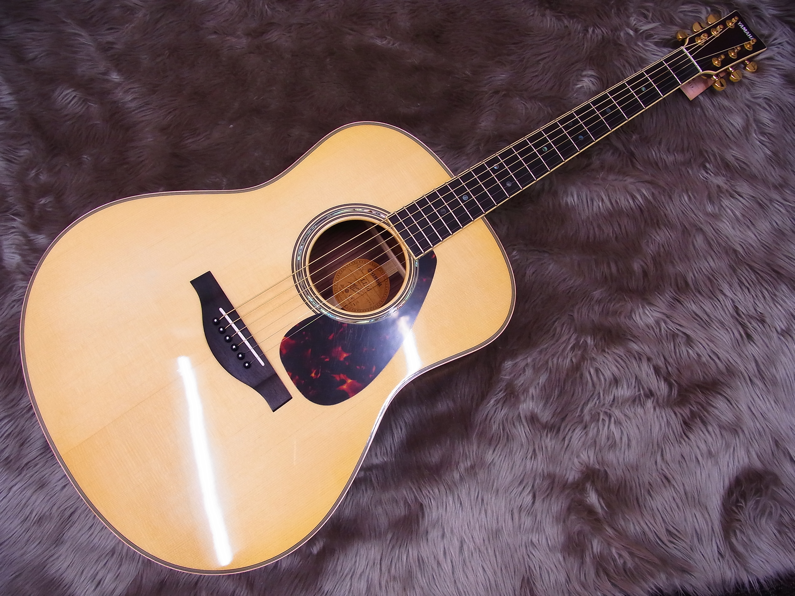 YAMAHAアコースティックギター続々入荷しております。｜島村楽器