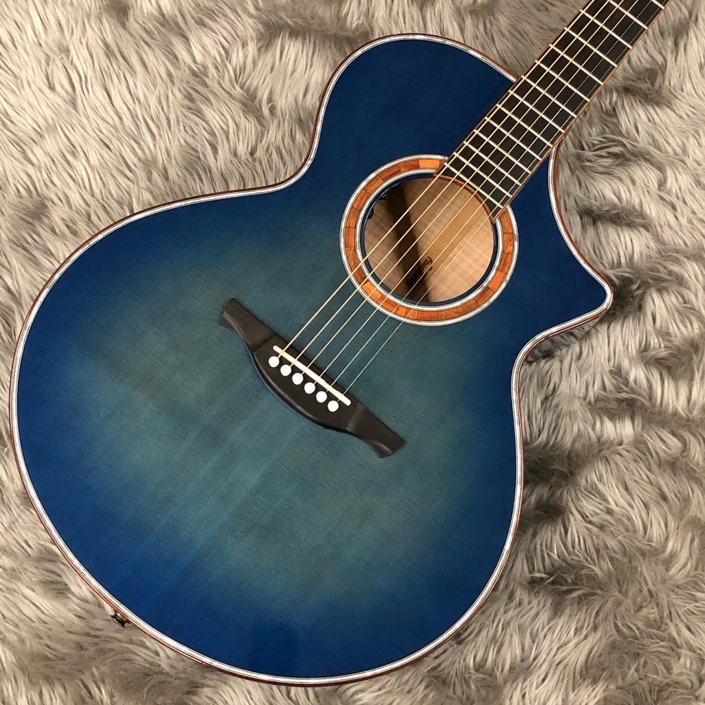 アコースティックギター】新入荷情報 History（ヒストリー）｜島村楽器