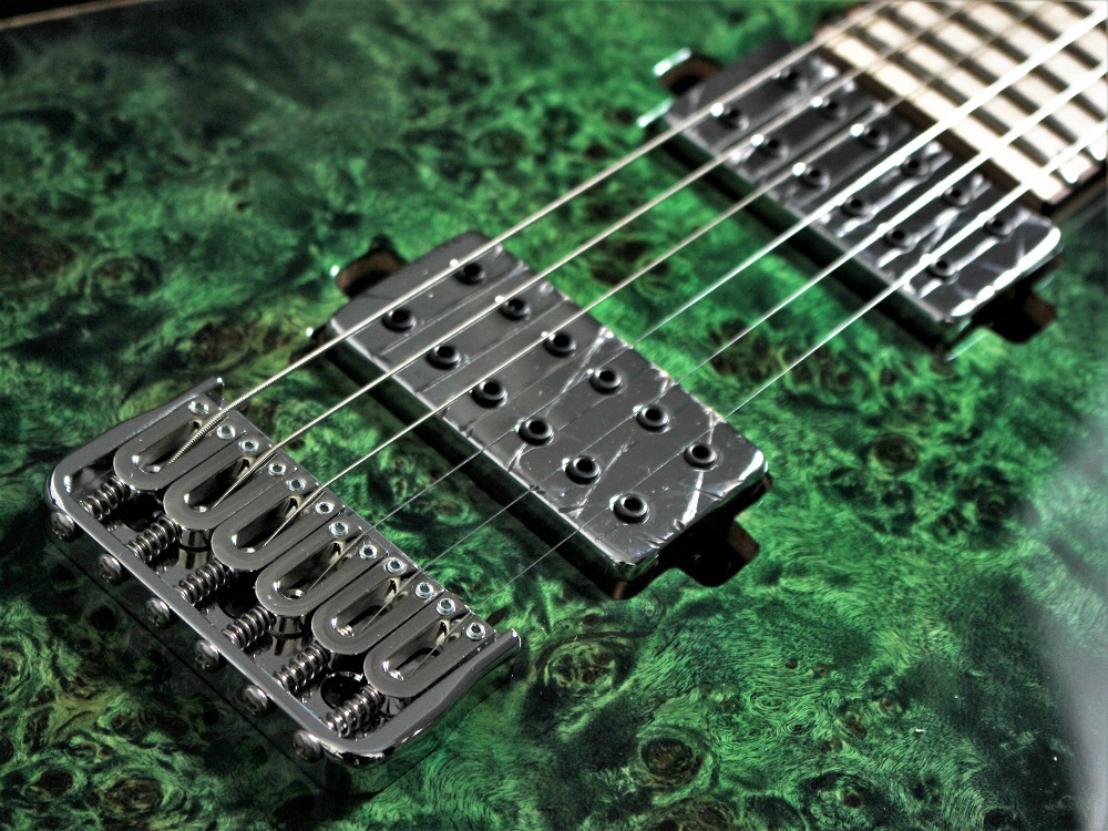 新潟ギターまつり】SKERVESEN GUITARS新潟初上陸！Raptor 6入荷