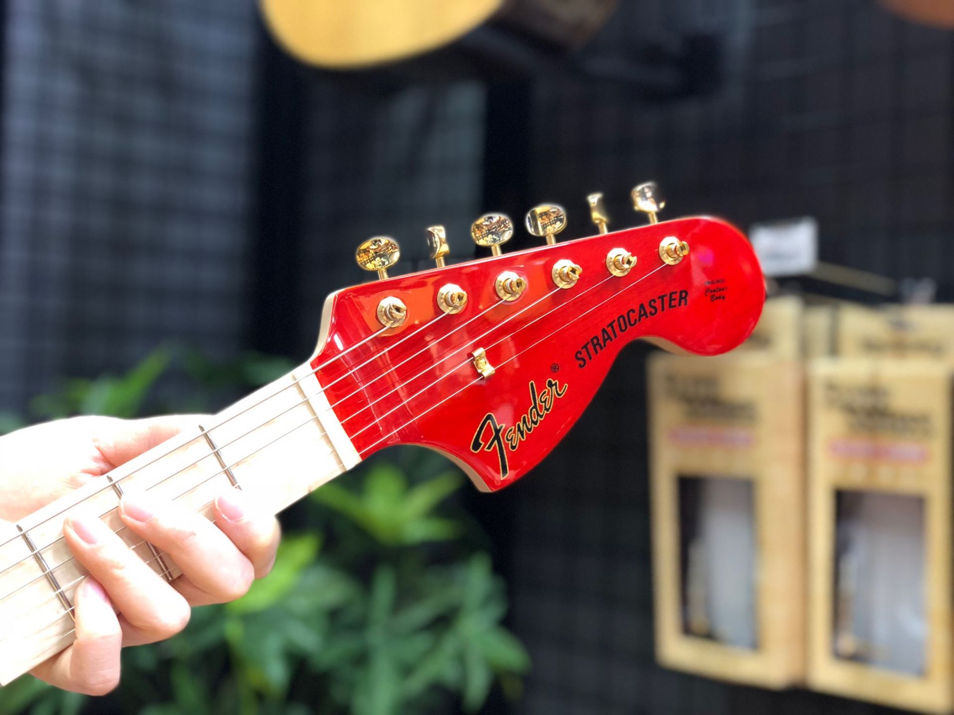 新着入荷情報】 SCANDAL MAMI STRATOCASTER 入荷しました！｜島村楽器