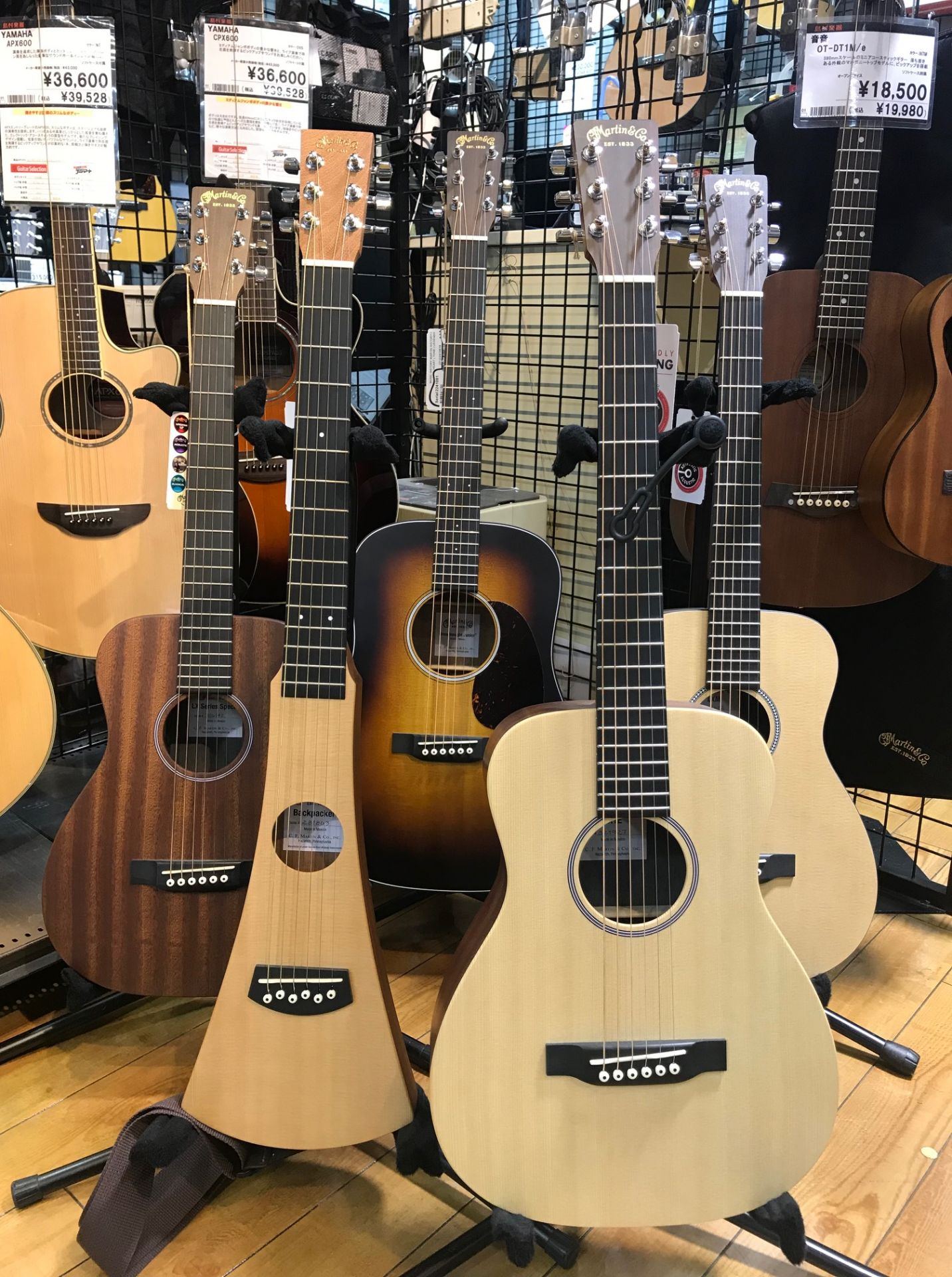 永遠の定番！Martin アコースティックギターセレクト！｜島村楽器 札幌