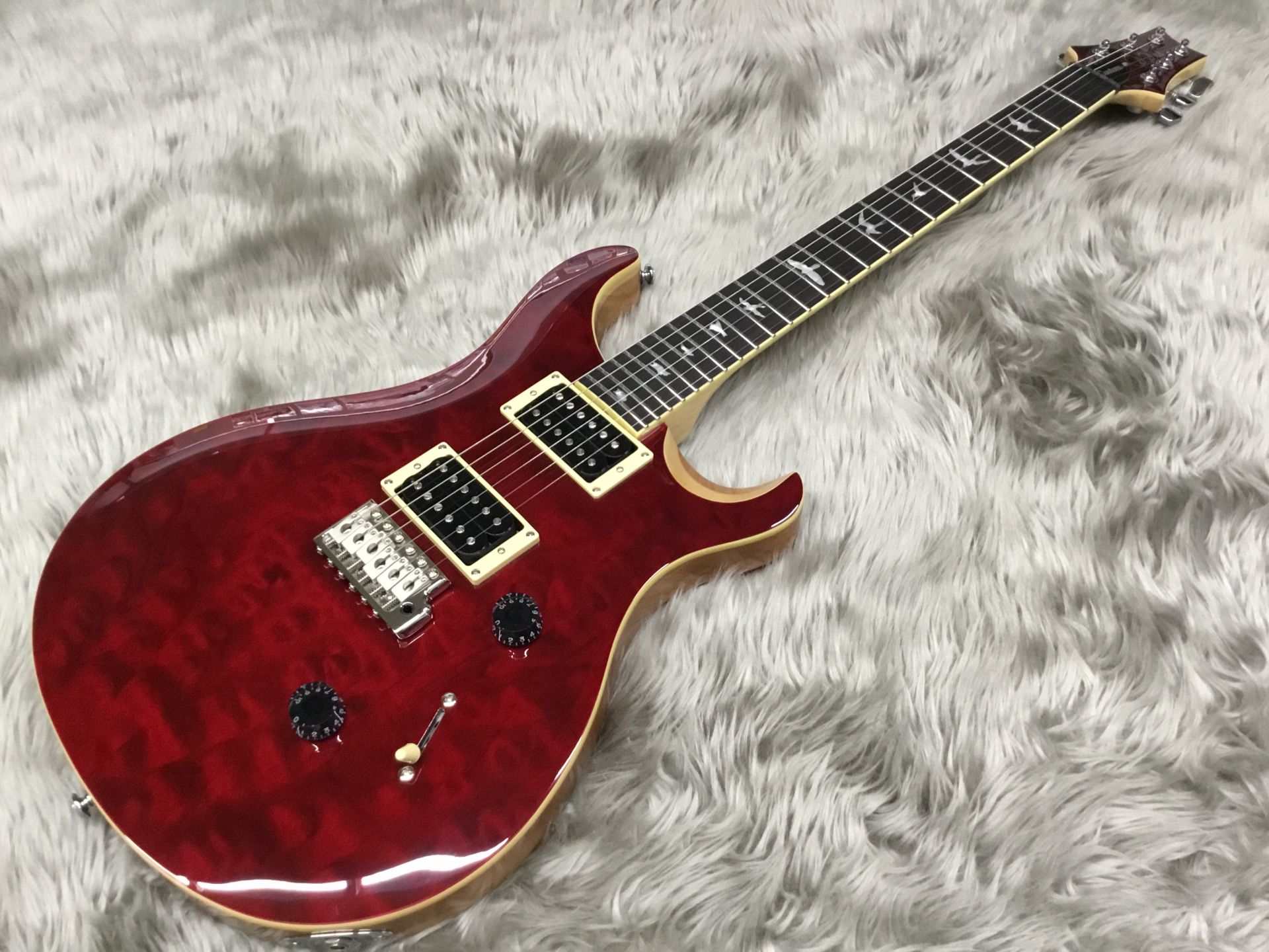 エレキギター】初めてのギターにも“これぞ”の1本にも最適なPRS SE