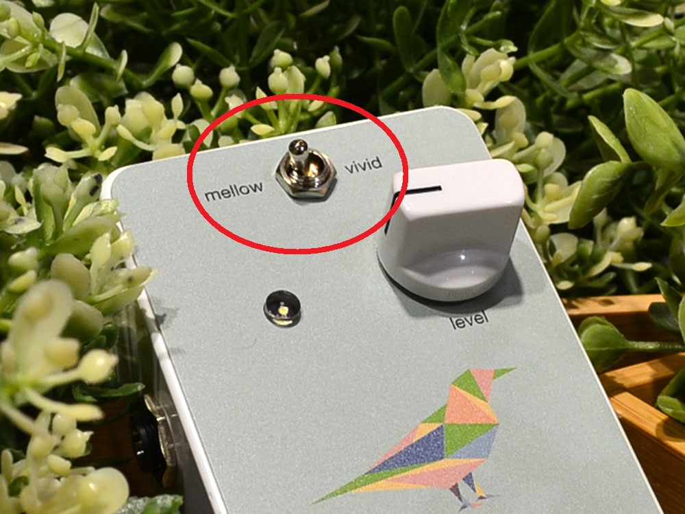 エフェクター】新規取り扱い開始！！Limetone Audio / irodori