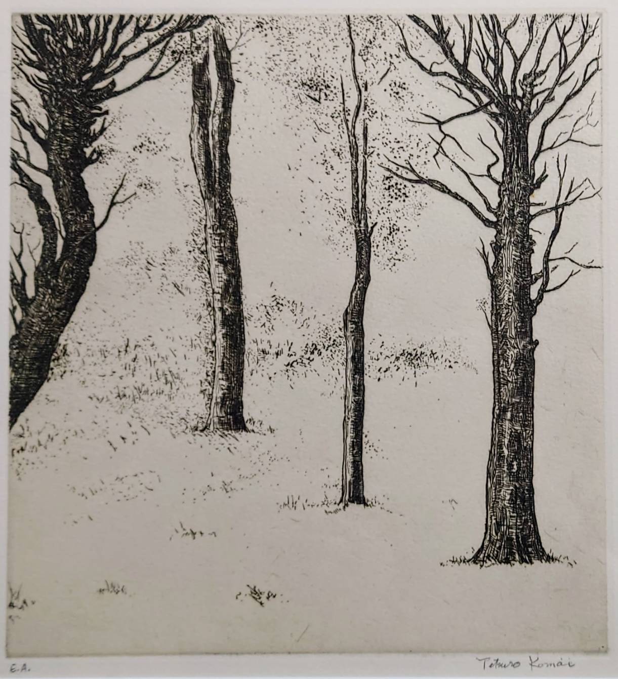 駒井哲郎 1975年「樹木」銅版画 サイン入 額装 段ボール箱 エッチング