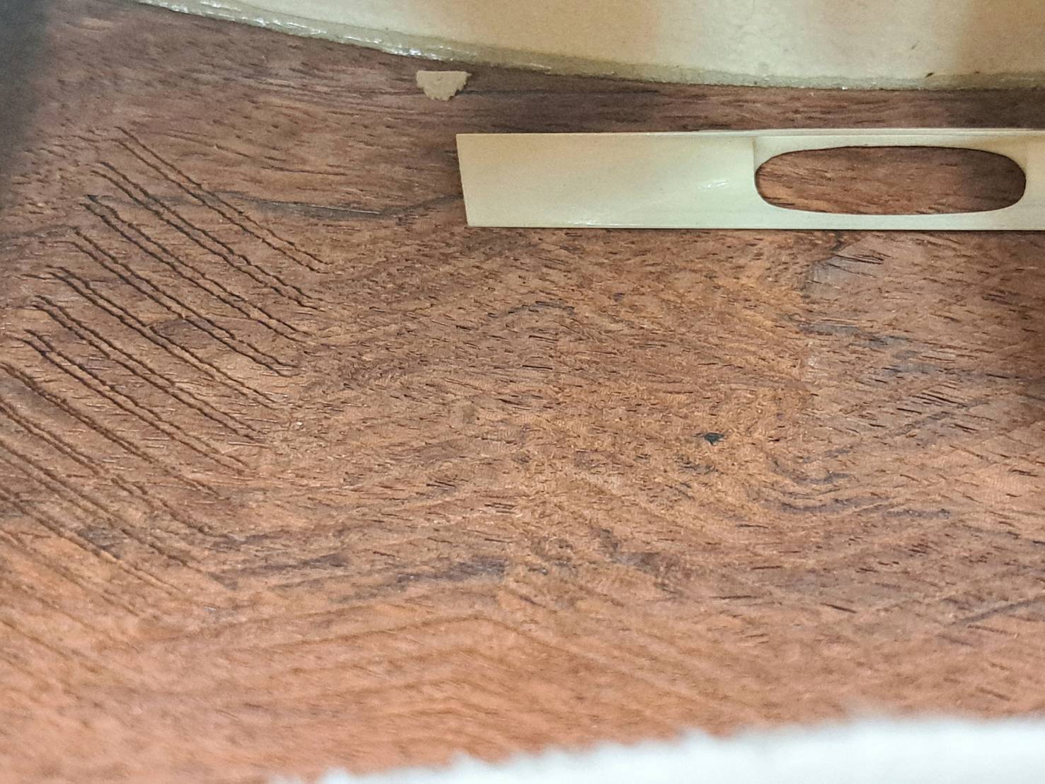 子持ち綾杉胴 中棹三味線 | 新栄堂