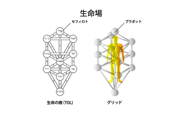 模型 3Dカバラ パドマ（ステンレス）」の販売店【信州健康倶楽部】