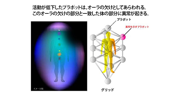 模型 3Dカバラ パドマ（ステンレス）」の販売店【信州健康倶楽部】