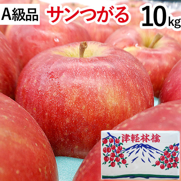 送料込】【A級品】サンつがる青森りんごノーワックス10kg【竹嶋有機