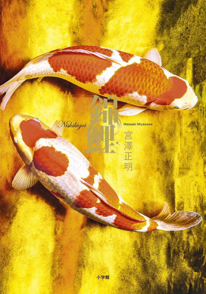 錦鯉 | 書籍 | 小学館