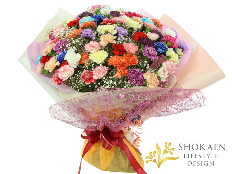 花束0148】カーネーションの大花束（Mix） - 株式会社正花園