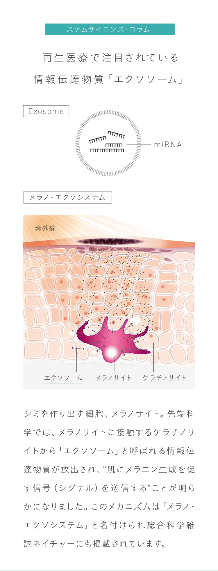 エンリッチクリーム スペシャルページ│シグナリフト 公式サイト