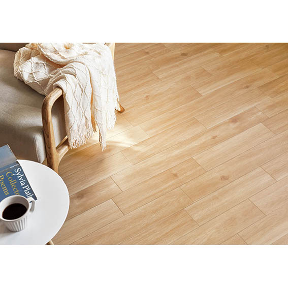 シンコール | E1040 | ポンリューム2024-2027