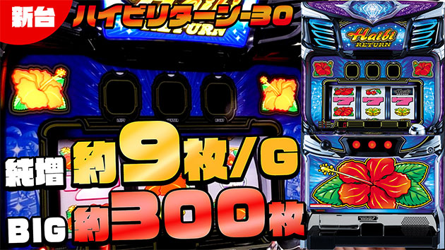 ハイビリターン-30｜公式サイト