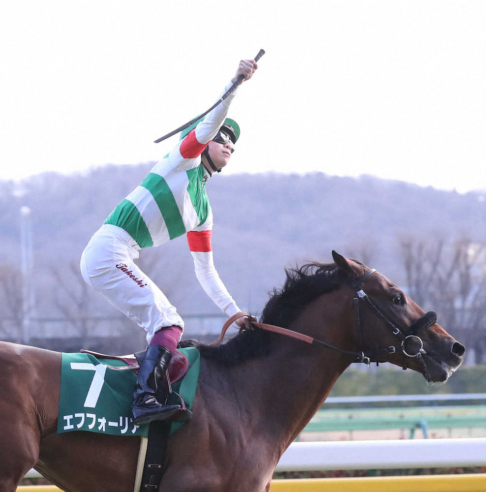 横山武の「努力」でエフフォーリアに勲章を - スポニチ Sponichi Annex