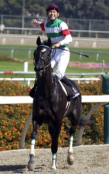 名牝シーザリオ急死 05年日米オークス制覇 吉田勝己氏「ただただ驚き