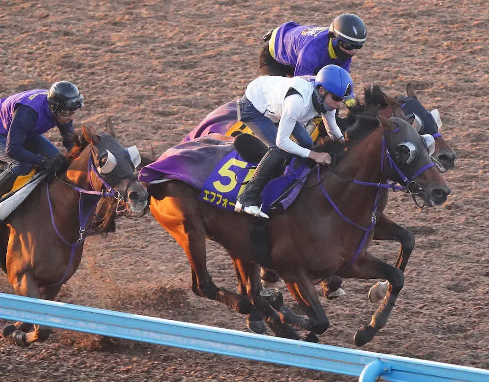 天皇賞・秋1週前追い】エフフォーリア 強めで1F11秒3、横山武