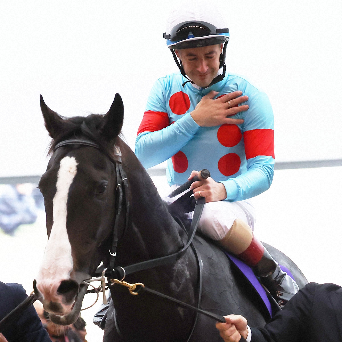 イクイノックス 初年度種付け料は破格の2000万円！ディープ、コン