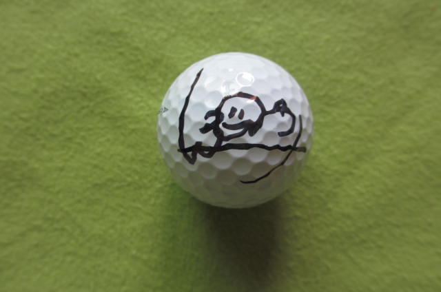 渋野日向子プロ直筆サイン タイトリストゴルフボール - SPORTS GALLERY USA
