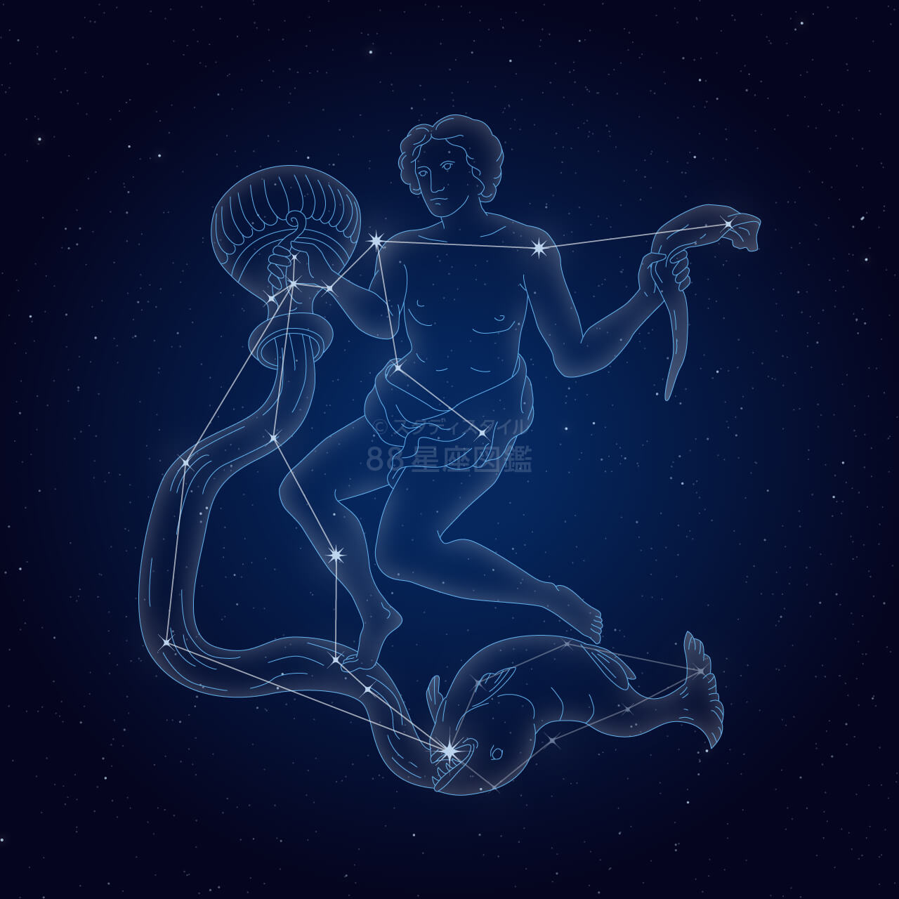 みずがめ座（水瓶座）｜やさしい88星座図鑑