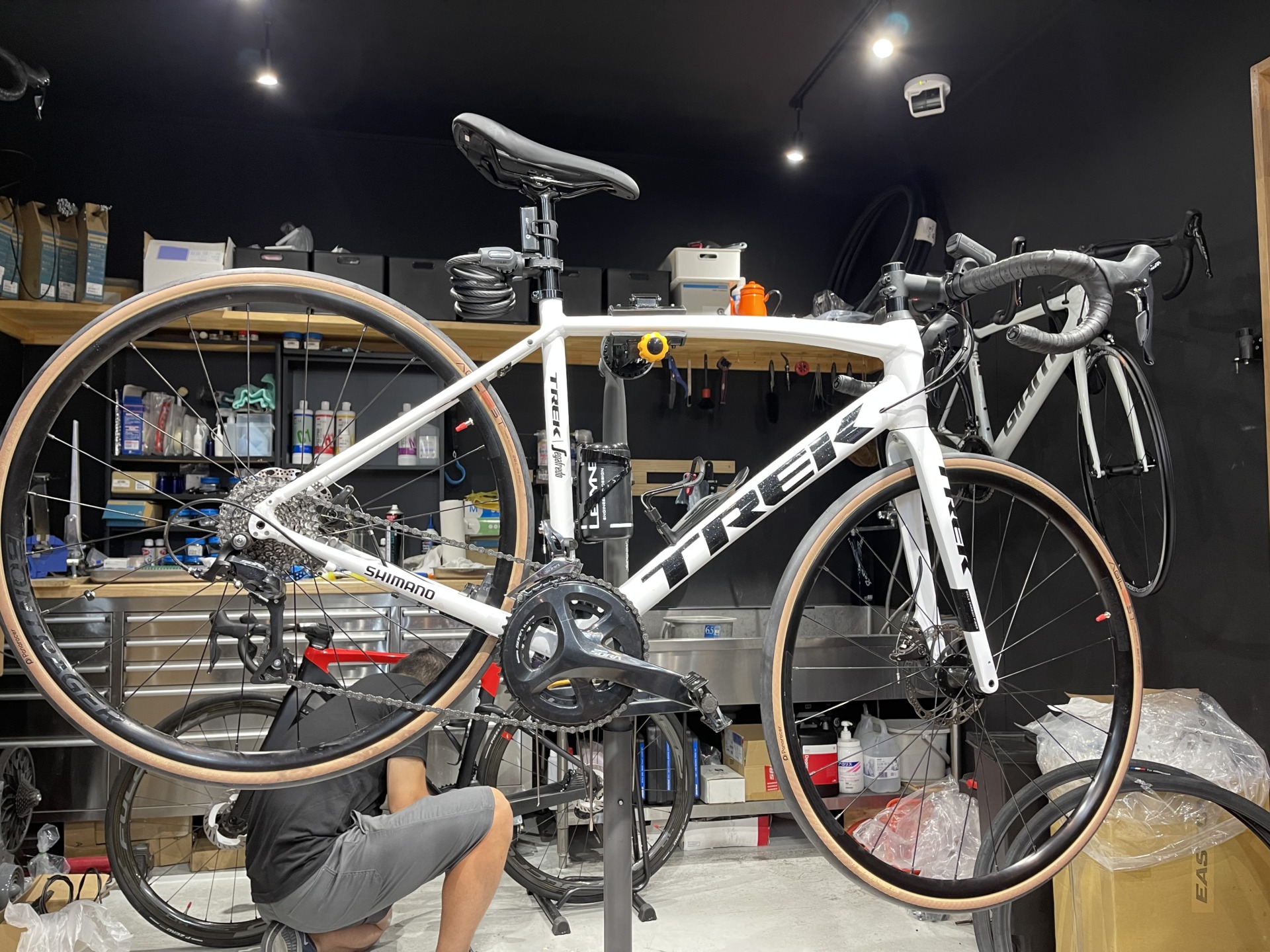 TREK Domane AL 3 Disc × タイヤカスタム（Panaracer AGILEST
