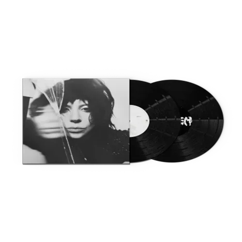 LADY GAGA / MAYHEM [STANDARD] [2LP - 754-5108]：20s ROCK：アナログ