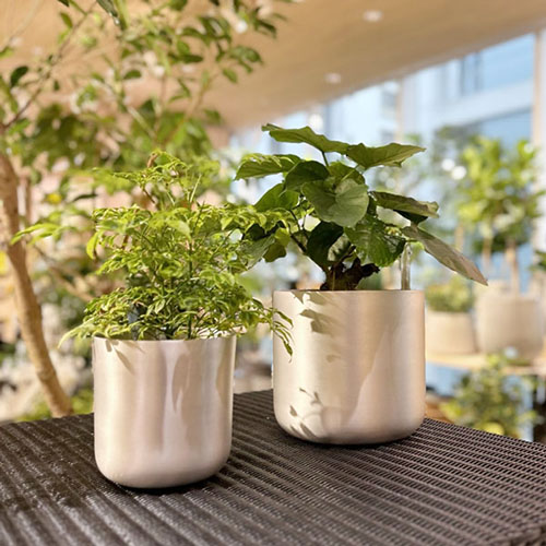 スギカウ / CLOVER(クローバー) アルミプランター Ф13 マットシルバー