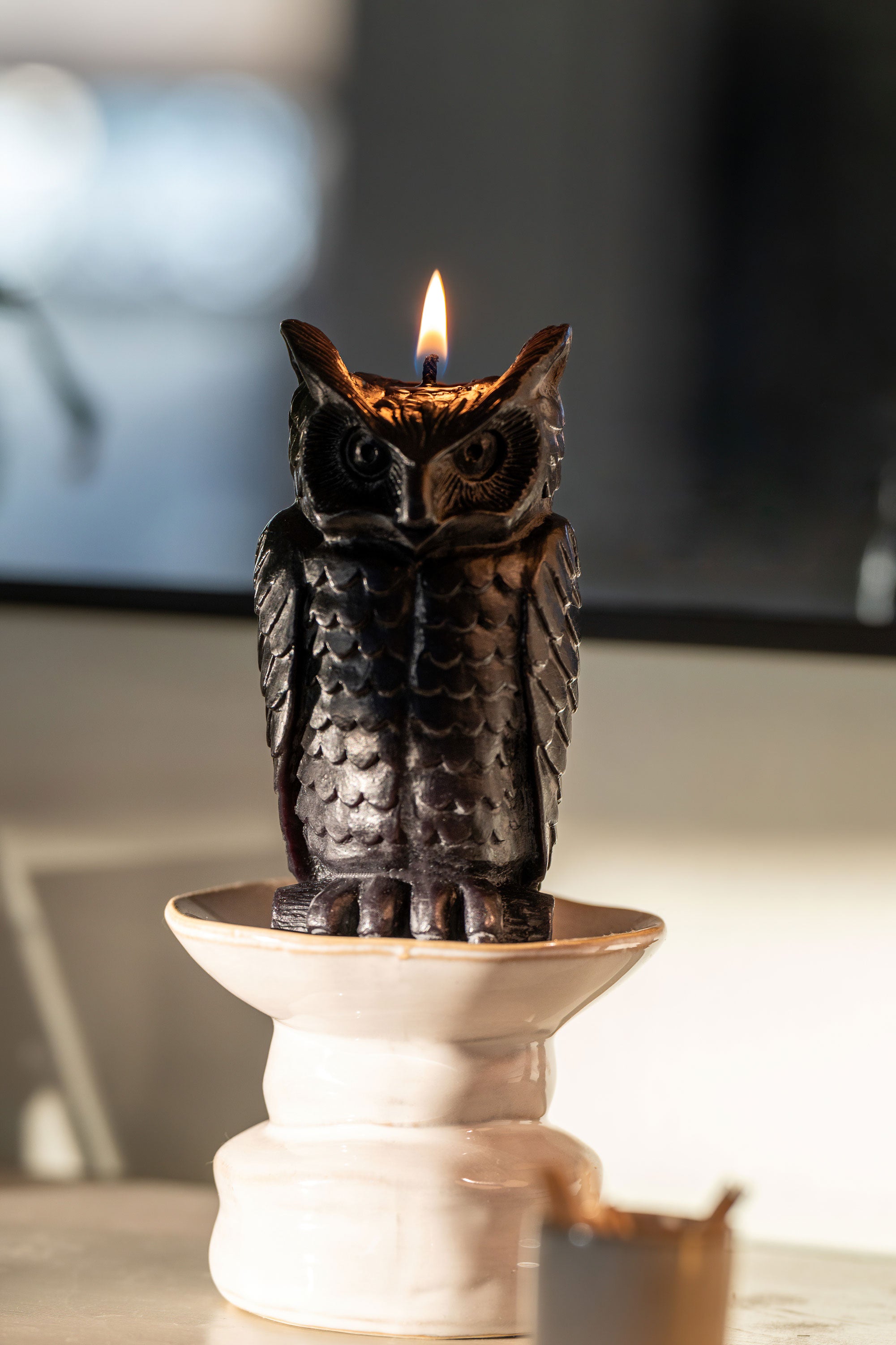 Beeswax Wise Owl Candle | Sunbeam Candles Original Design