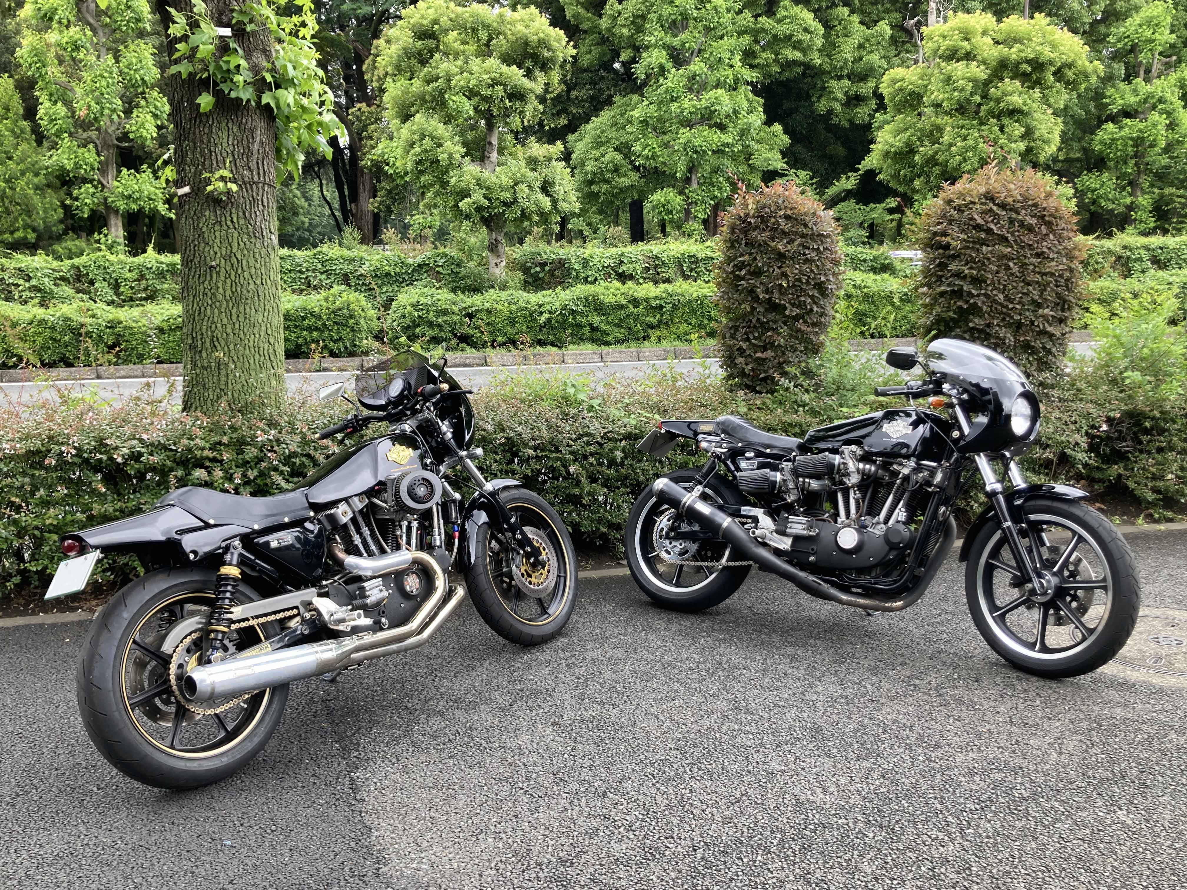 XLCR？ いいえ、どちらもサンダンスです！ | サンダンス