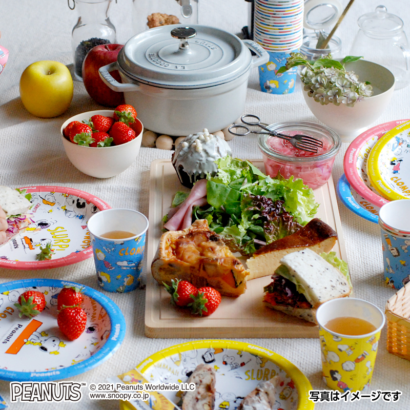 サンナップ公式 SUNNAP the STORE / スヌーピーレトロパターン