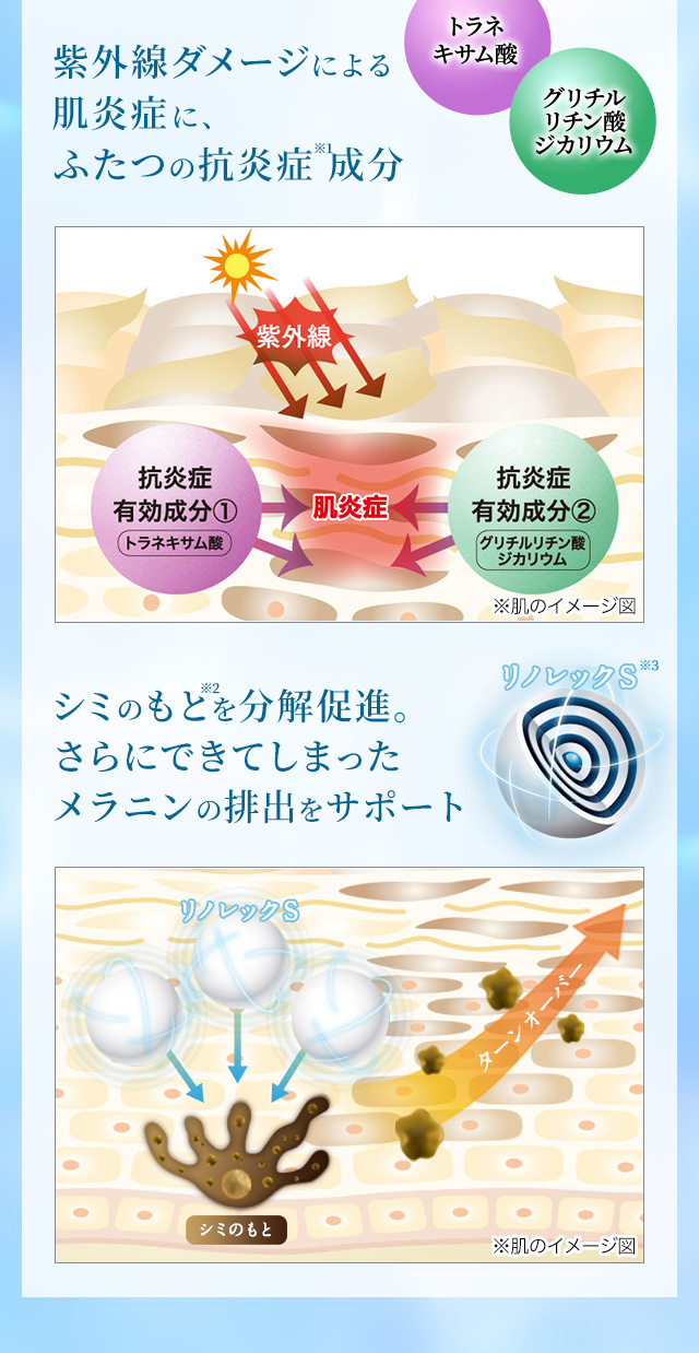 エクイタンス ホワイトエッセンス【サンスター公式通販】