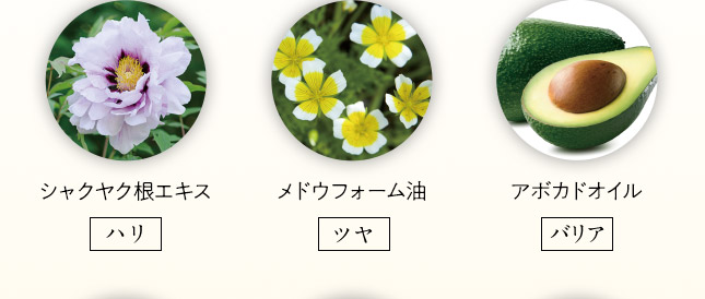 エクイタンス スペシャルインクリーム【サンスター公式通販】