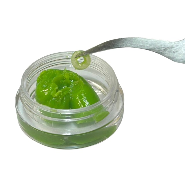 グリーンスライム D-spec 1個入り [TP-616] - スーパーラジコン