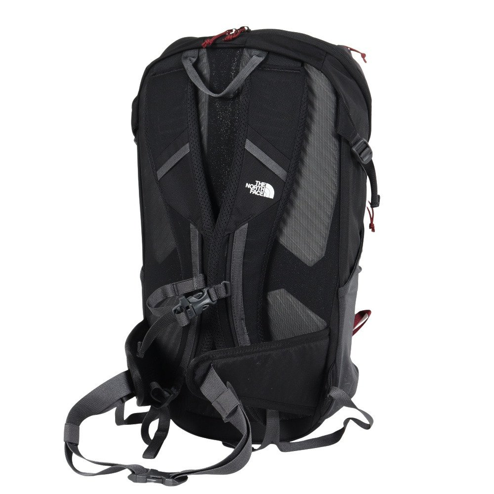 ザ・ノース・フェイス（THE NORTH FACE）（メンズ、レディース）バック
