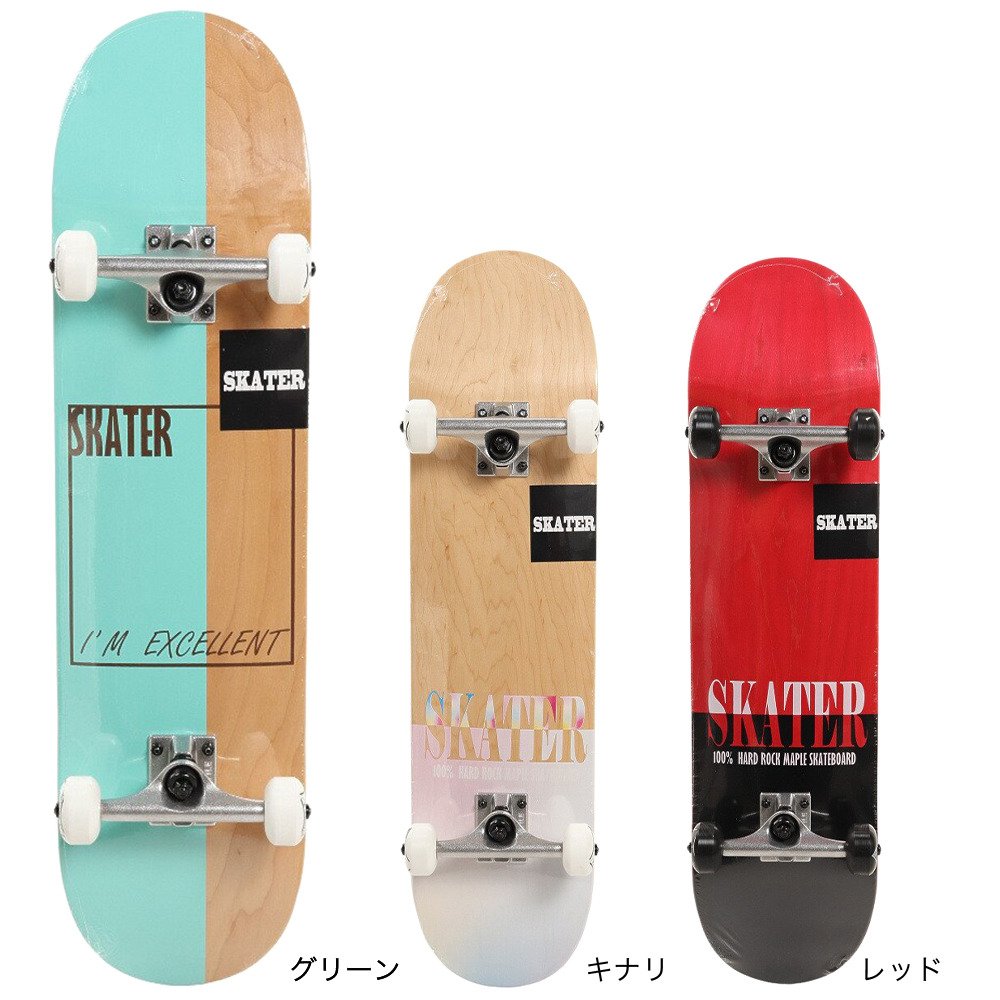 スケーター（SKATER）（メンズ、レディース）スケートボード スケボー