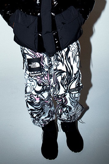 Supreme '22F/W Week7 The North Face | Supreme Plus