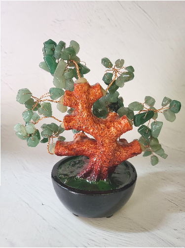 古来から中国で「金の生る木」と言われており、財運を呼び込む風水置物