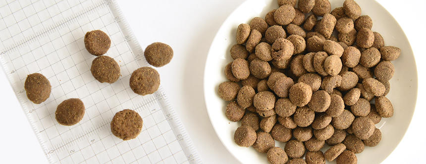 POCHIザ・ドッグフード》ミディアムラージ粒がリニューアルして新登場