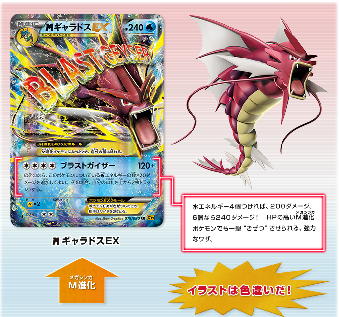 徹底解説 メガギャラドスEX | ポケモンカードゲーム公式ホームページ