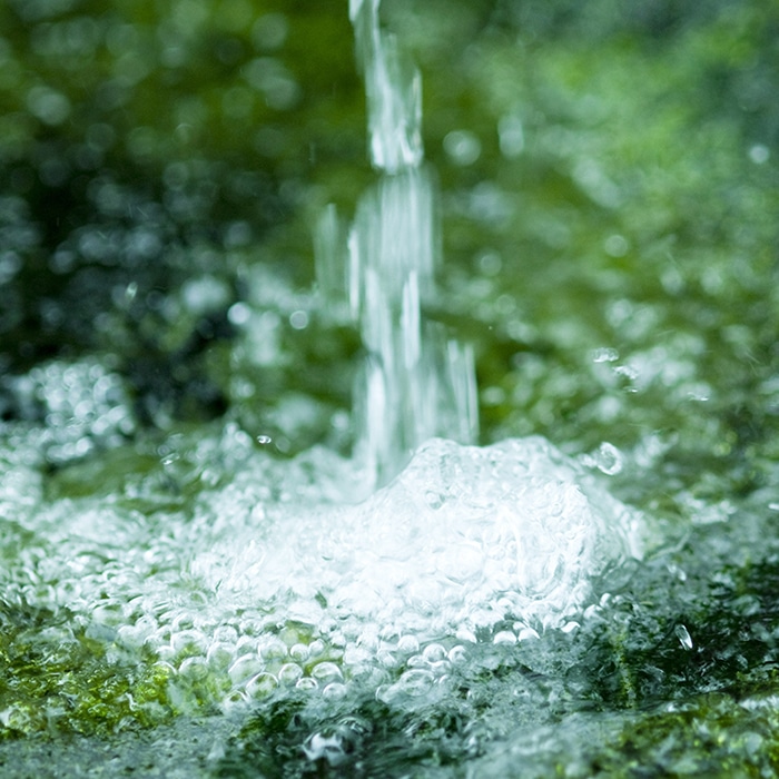 イウゲン シャンプー: 商品詳細 | ポーラ公式 エイジングケアと美白