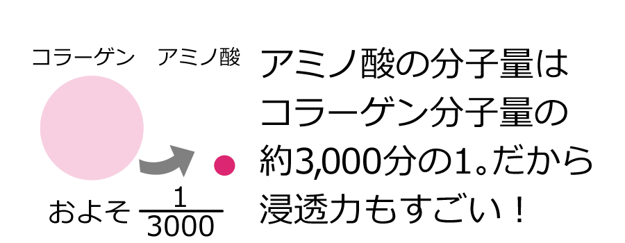 クレンジング・洗顔｜自然の恵みから生まれた高品質な天然力スキンケア