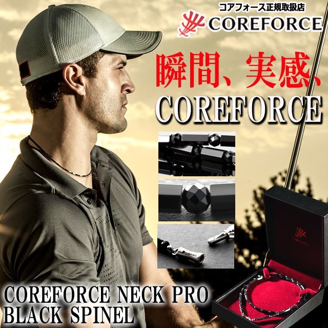 ハイエンドモデルコンディショニングアクセサリー コアフォースネック