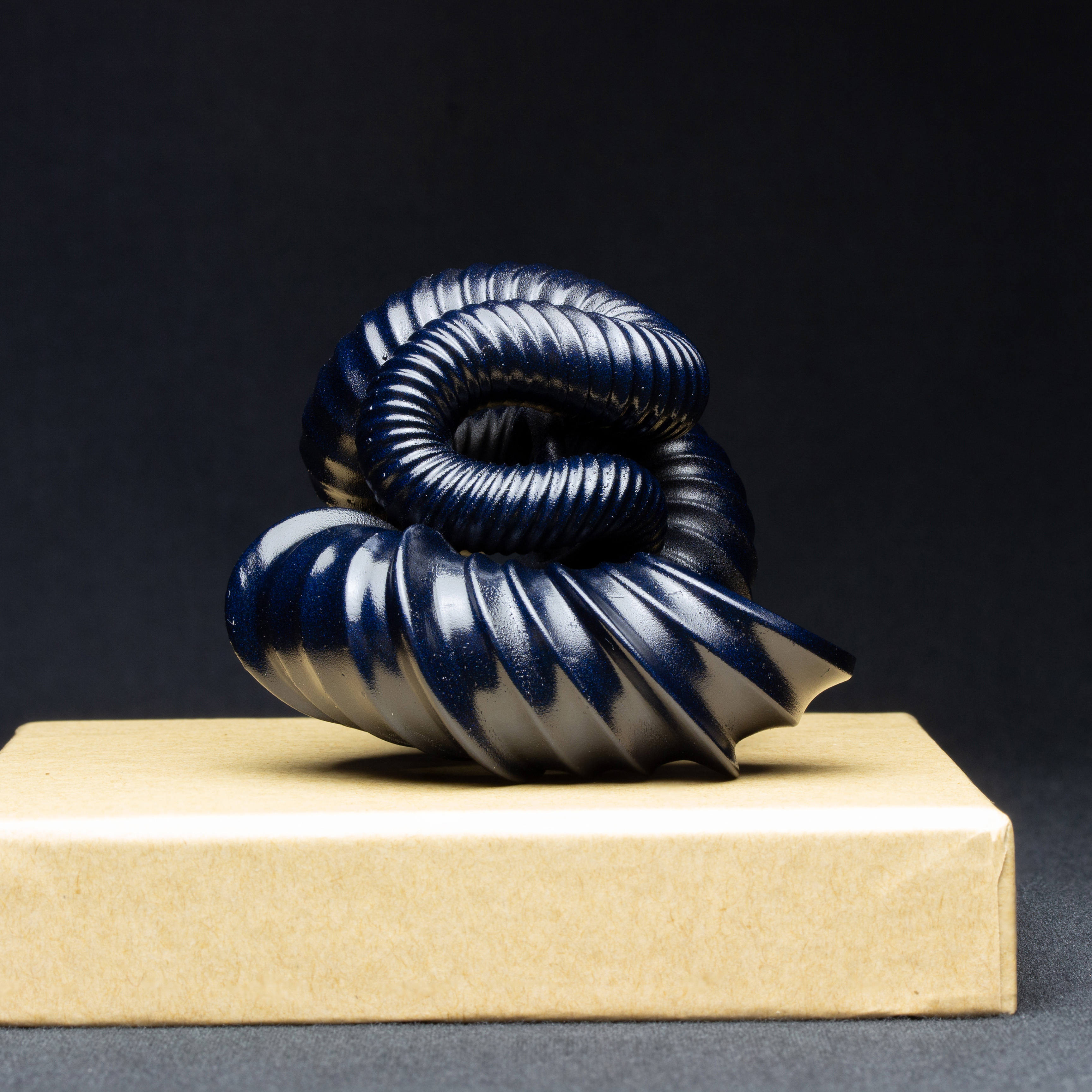 ニッポニテス化石モデル006（サイズS）｜恐竜・化石グッズの専門店 ふ