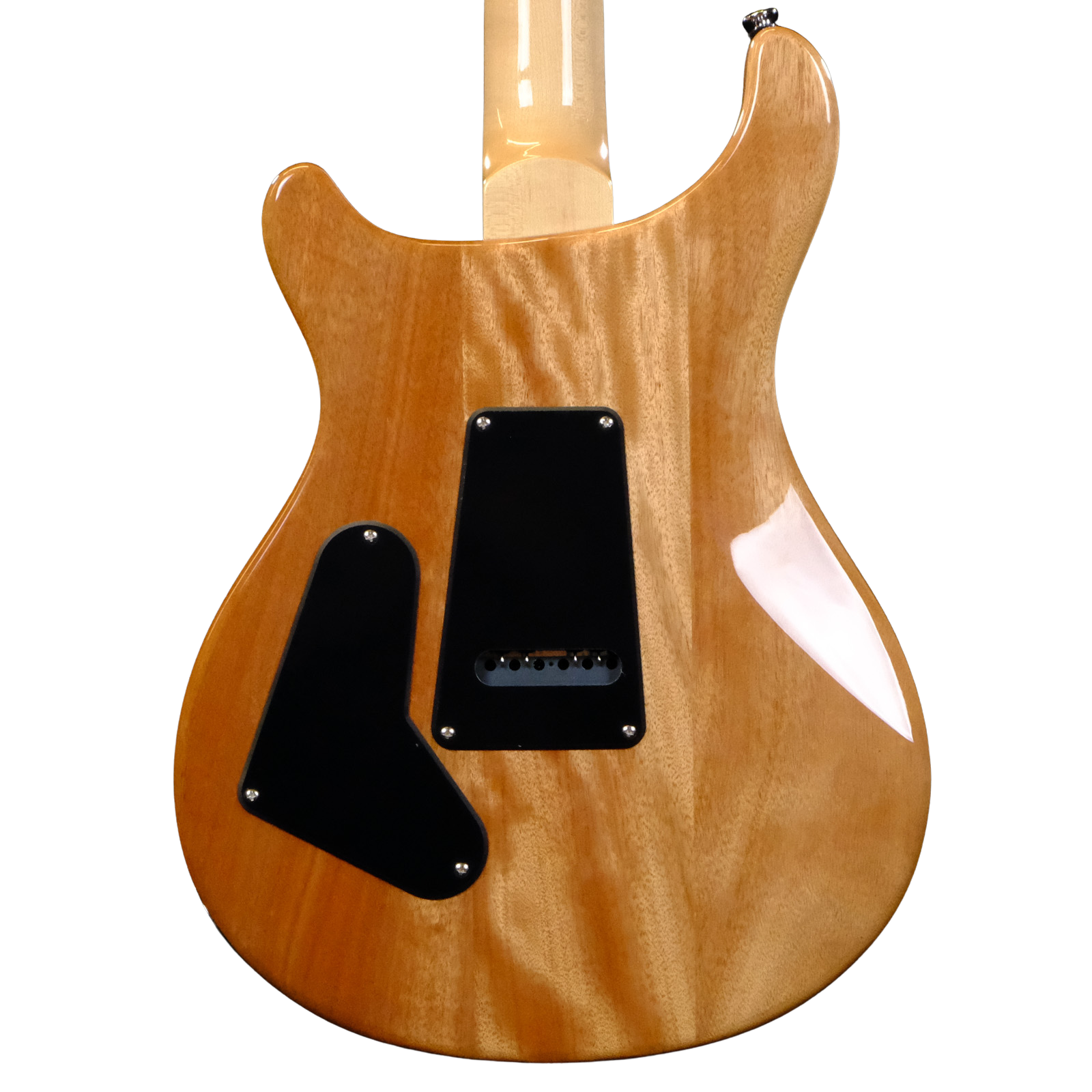 PRS SE Custom 24 - Blue Matteo