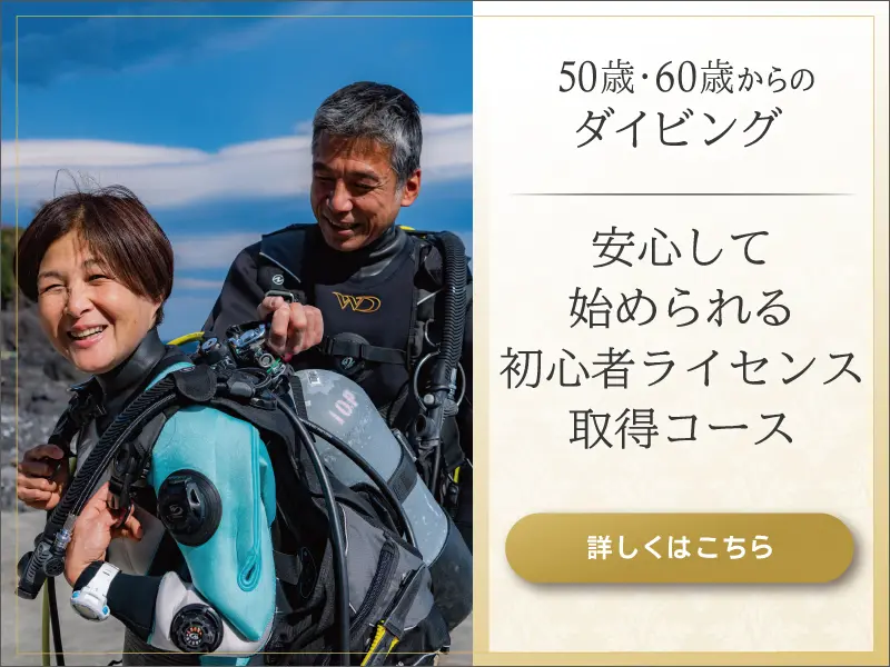 池袋 ダイビングライセンス取得｜PADIダイビングショップ パパラギ池袋