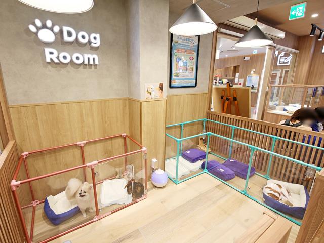 平塚店のご案内 | 平塚市宮の前 | ペットショップCoo&RIKU