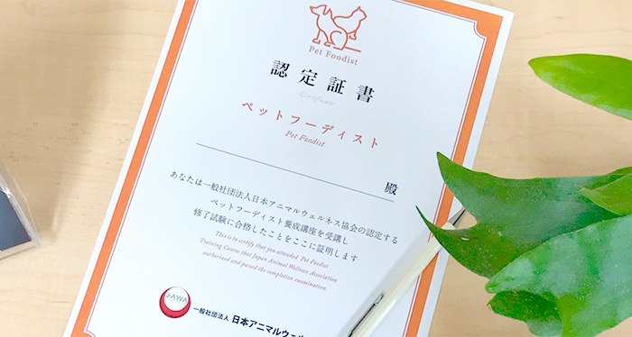 講座詳細｜ペットフーディスト養成講座 仕事に活きる犬猫の食事の専門